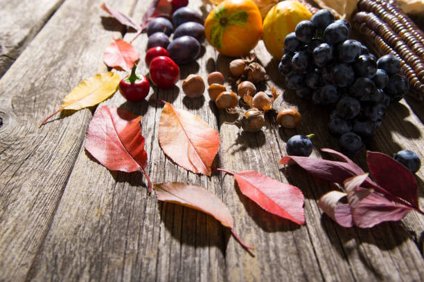 istock Autumn fruits, vegetables 1165868455