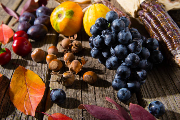 istock Autumn fruits, vegetables 1165868499