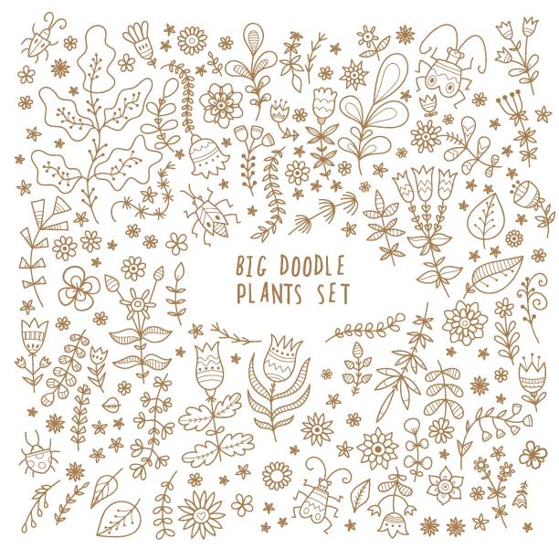 Plants set. Summer plants set. Various flowers and leaves. Vector contour image no fill. Doodle bugs. grass vector meadow spring stock illustrations