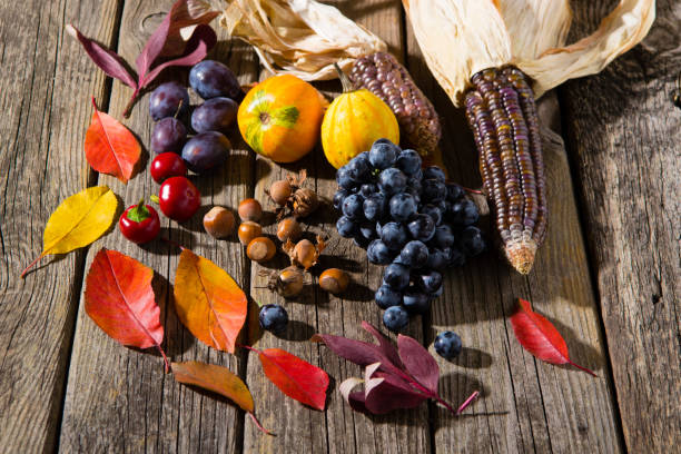 istock Autumn fruits, vegetables 1165871144