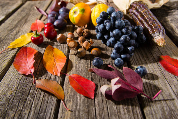 istock Autumn fruits, vegetables 1165871857