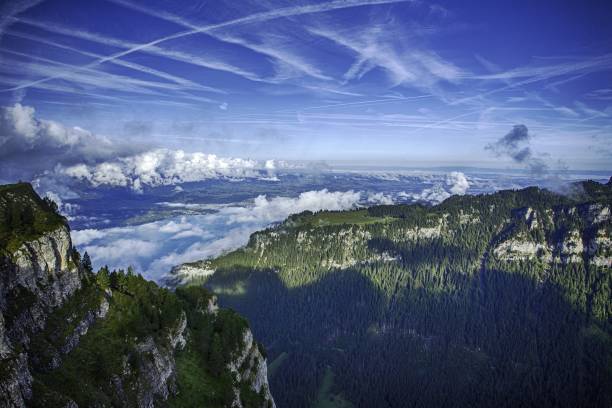 vista do lago thun e dos alpes de bernese que incluem os picos de jungfrau, de eiger e de monch da parte superior de niederhorn no verão, cantão de berna, switzerland, papel de parede, destino popular do curso mt niederhorn - thun aerial view switzerland tree - fotografias e filmes do acervo