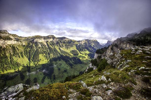 alpes de bernese da parte superior de niederhorn no verão, cantão de berna, switzerland, papel de parede, destino popular do curso mt niederhorn, neve, vista panoramatic bonita, vale verde, céu dramático, nuvens - thun aerial view switzerland tree - fotografias e filmes do acervo