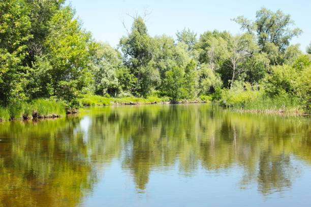 istock summer day on the river Russia 1165872240