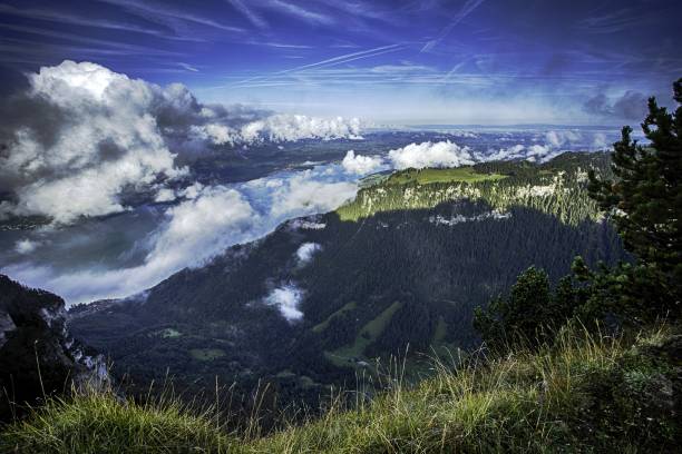 blick auf den thunersee und die berner alpen inklusive jungfrau, eiger und monch gipfel vom gipfel niederhorn im sommer, kanton bern, schweiz, tapete, beliebtes reiseziel berg niederhorn - switzerland green thun aerial view stock-fotos und bilder