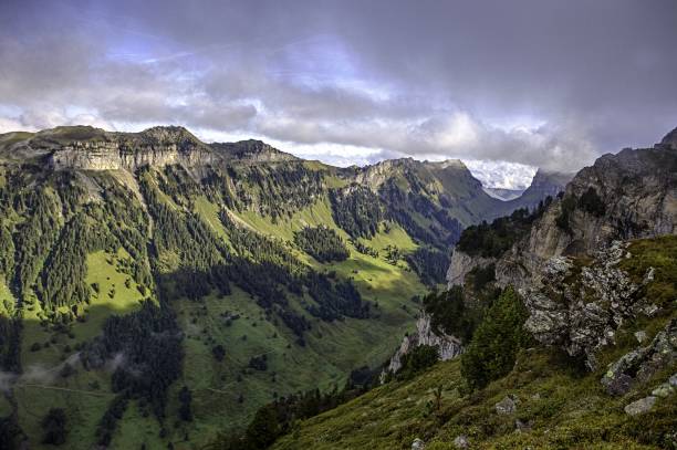 berner alpen vom gipfel niederhorn im sommer, kanton bern, schweiz, tapete, beliebtes reiseziel berg niederhorn, schnee, schöne panoramaansicht, grünes tal, dramatischer himmel, wolken - switzerland green thun aerial view stock-fotos und bilder