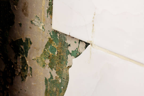 istock Chipped from the wall tiles. 1165883582
