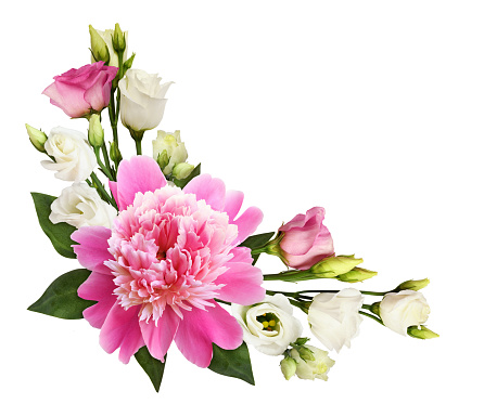Pink peony and eustoma flowers in a floral corner arrangement isolated on white background