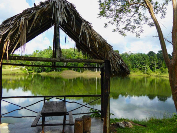 istock a jungle hut on a pond 1165888358