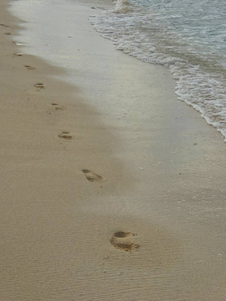 istock footsteps in the sand at the beach 1165888526