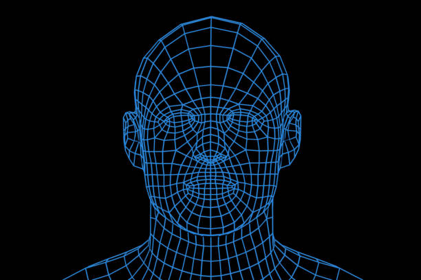 Three dimensional mesh image of a man face.