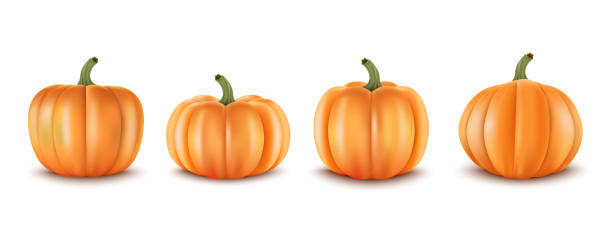 istock 3d Realistic set pumpkins. Decoration for autumn sale banners an other. Vector illustration 1165892631
