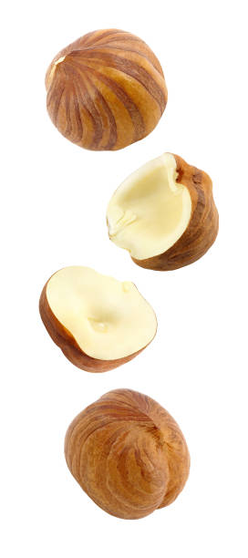 hazelnut nuts kernels cores whole and broken in half soaring, falling, flying isolated on white background with clipping path. set of parts. full depth of field. - hazel eyes imagens e fotografias de stock