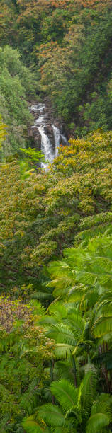 grande isola delle hawaii - hawaii islands big island waterfall nobody foto e immagini stock