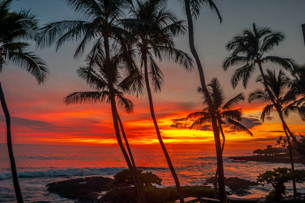 istock Big Island of Hawaii 1165894197