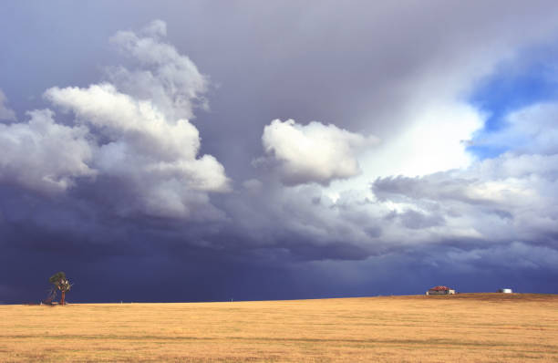 paisaje rural con tormenta dramática moviéndose sobre campo amarillo con cobertizo de granja y árbol muerto en el horizonte. - corrugated iron rusty old iron fotografías e imágenes de stock