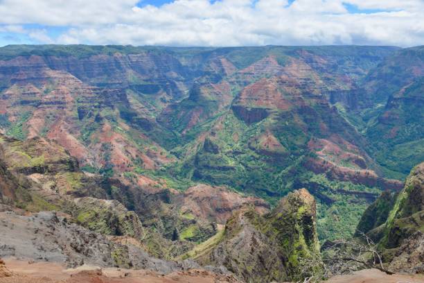 istock Waimea Canyon, Kauai 1165899194