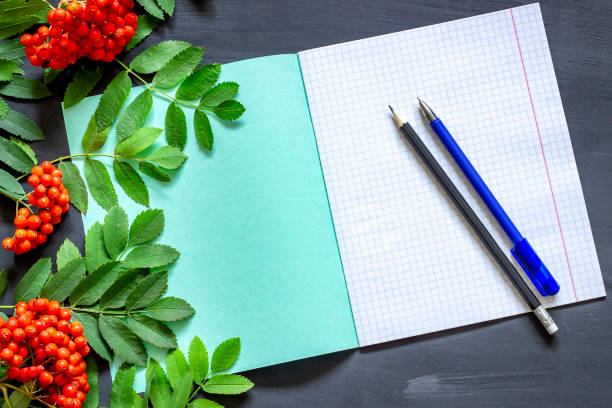 istock Back to school: rowan branch, notebook, pencils and pen. School autumn theme by September 1. 1165900316