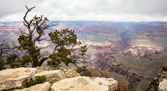 Grand Canyon National park, Arizona, United States. Overlook of the red rocks, cloudy sky background