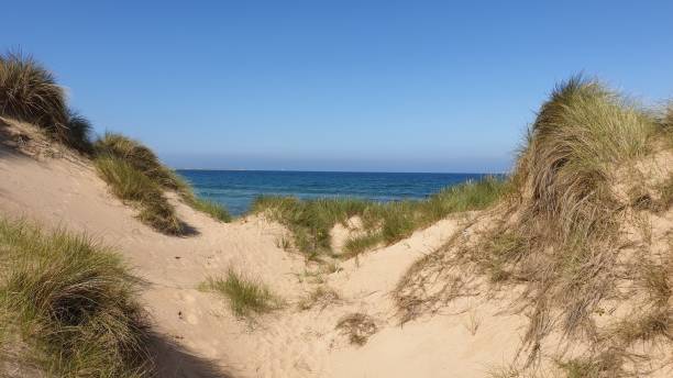 istock Dunes, sea and sand at beavh 1165924926