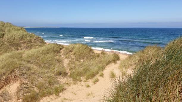 istock Dunes, sea and sand at beavh 1165925046