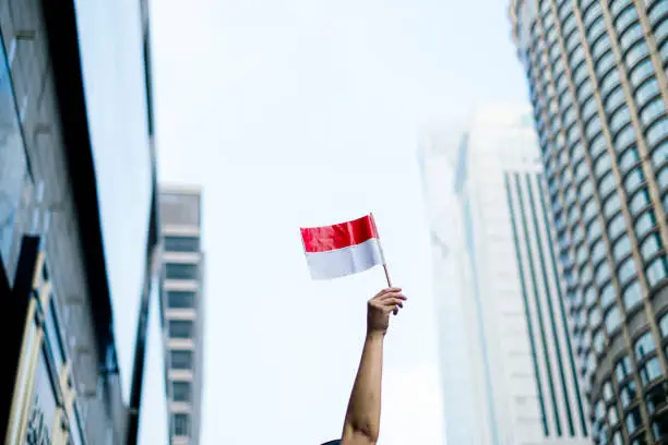 Photo of Hand Holding Indonesia Flag