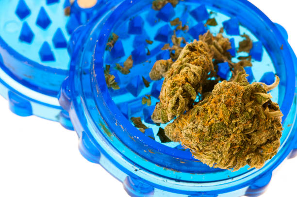 istock Two buds of herbal marijuana in a plastic grinder 1165939015