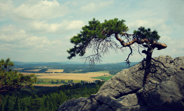 Hrubá Skála, bohemian paradise