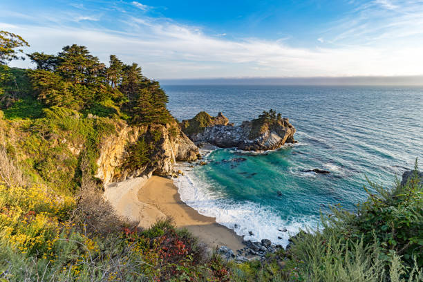 マックウェイフォールズ - big sur cypress tree california beach ストックフォトと画像