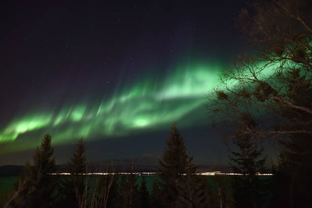 istock Aurora Borealis - Northern Lights 1165951188