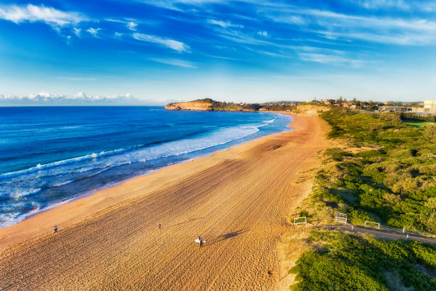 D Mona Vale Beach surfers 2 south
