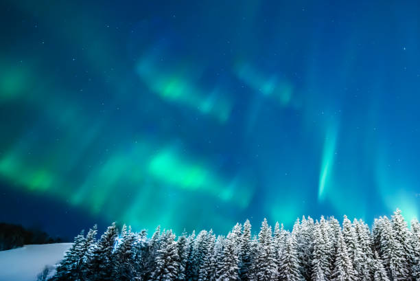 istock Emerald green aurora above spruce trees 1165956218