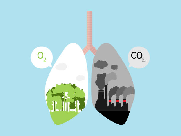 lungenkrebs mit grünem baumwald für o2 und dunkle fabrik für co2 - factory pollution smoke cartoon stock-grafiken, -clipart, -cartoons und -symbole