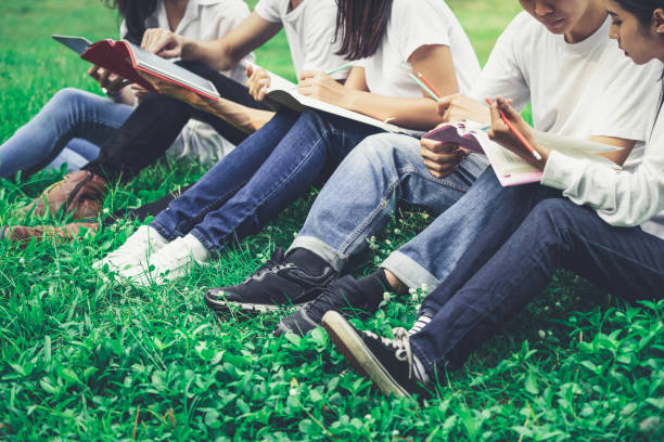 istock Team of young students studying in the park. 1165972027