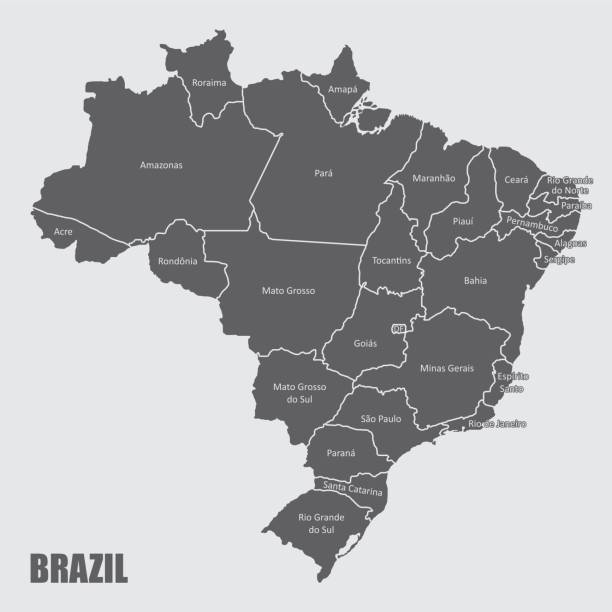ilustraciones, imágenes clip art, dibujos animados e iconos de stock de mapa de regiones de brasil - southeastern region