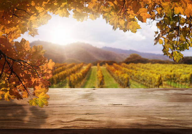 drewniany stół w jesiennym krajobrazie wiejskim winnicy. - napa grape vineyard vine zdjęcia i obrazy z banku zdjęć