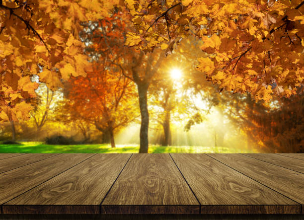 istock Wood table in autumn landscape with empty space. 1165974639