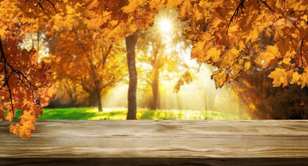 istock Wood table in autumn landscape with empty space. 1165974747