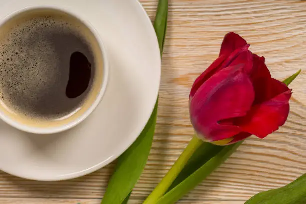 white porcelain cup with red tulip on wooden table