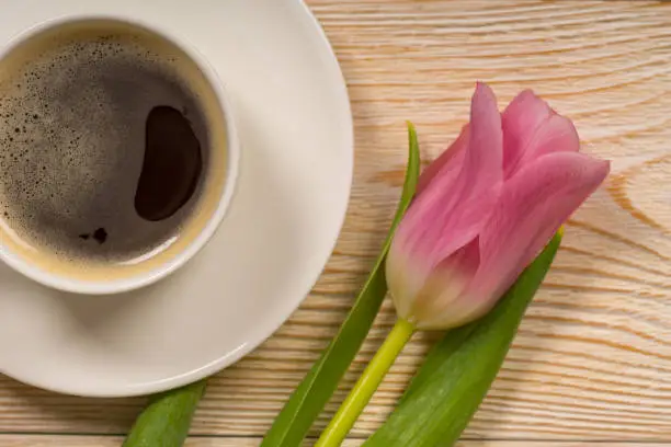 white porcelain cup with pink tulip on wooden table