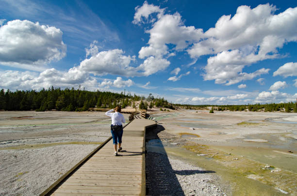 Yellowstone NP - Walking the Long Boardwalk in Norris Geyser Basin Yellowstone National Park - Walking the Long Boardwalk in Norris Geyser Basin norris geyser basin photos stock pictures, royalty-free photos & images