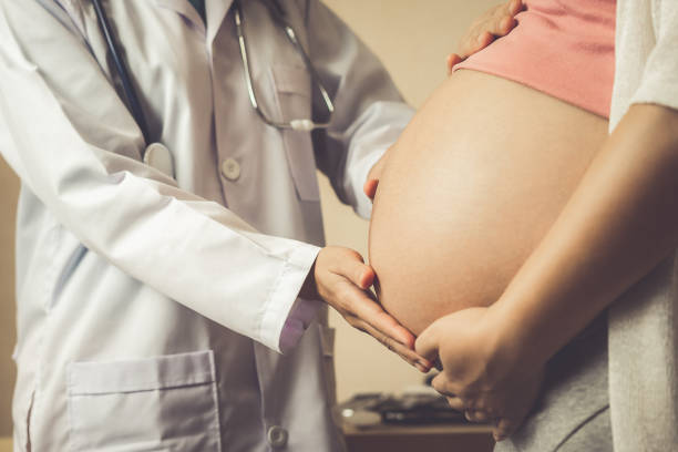 pregnant woman and gynecologist doctor at hospital - medical equipment stethoscope blue healthcare and medicine imagens e fotografias de stock