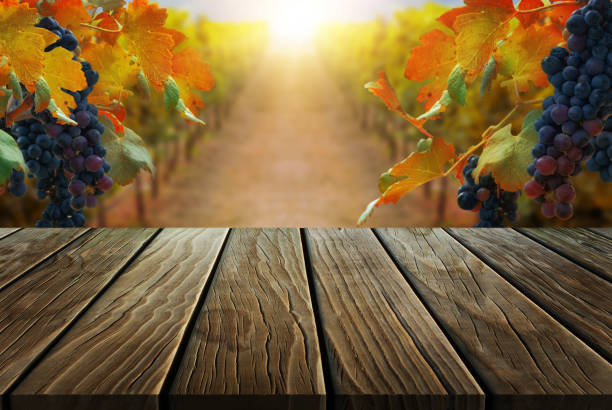 drewniany stół w jesiennym krajobrazie wiejskim winnicy. - napa grape vineyard vine zdjęcia i obrazy z banku zdjęć