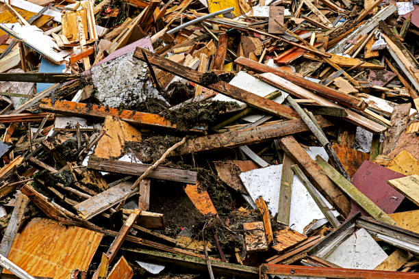istock pile of old wood garbage dump 1165983241