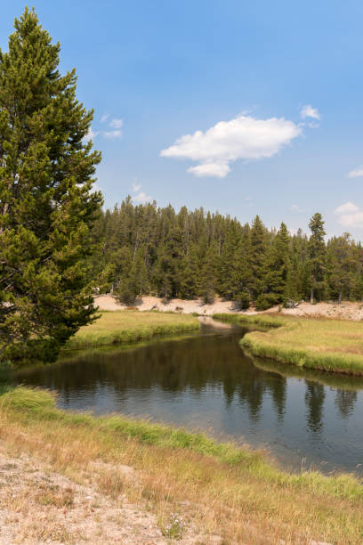 istock yellowstone river in Yellowstone National Park 1165984782