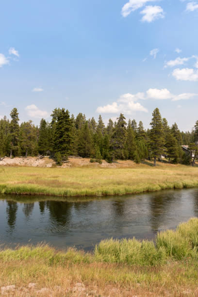 istock yellowstone river in Yellowstone National Park 1165984867