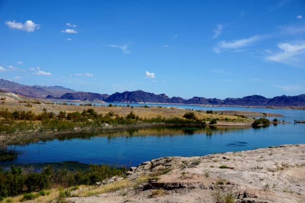 istock Secluded Area at Lake Mead 1165992330