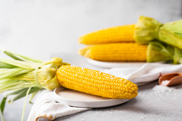 homemade golden boiled corn cob with butter and salt on the table. - agriculture close up corn corn on the cob imagens e fotografias de stock