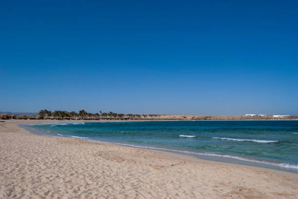 istock The sandy beach of Marsa Abu Dabab bay in Egypt 1165993906