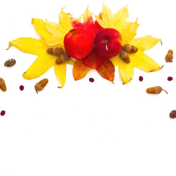 istock Autumn composition. Fall leaves, apple, pine cones on white background. Autumn, thanksgiving day concept. Flat lay, top view 1165999883